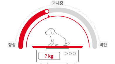 반려동물의 정상 체중과 필요 급여량을 확인 하시고 체중관리 사료도 체험해 보세요.